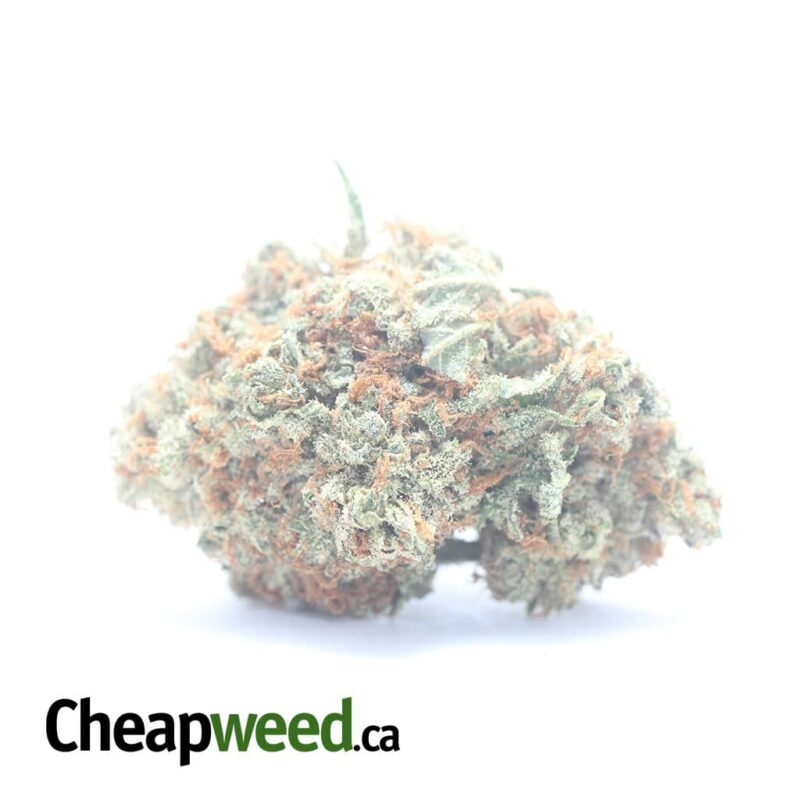 Sweet Grapefruit