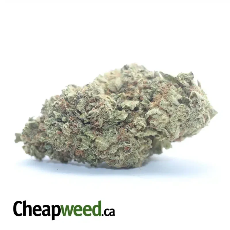 Sweet Kush Bulk Special