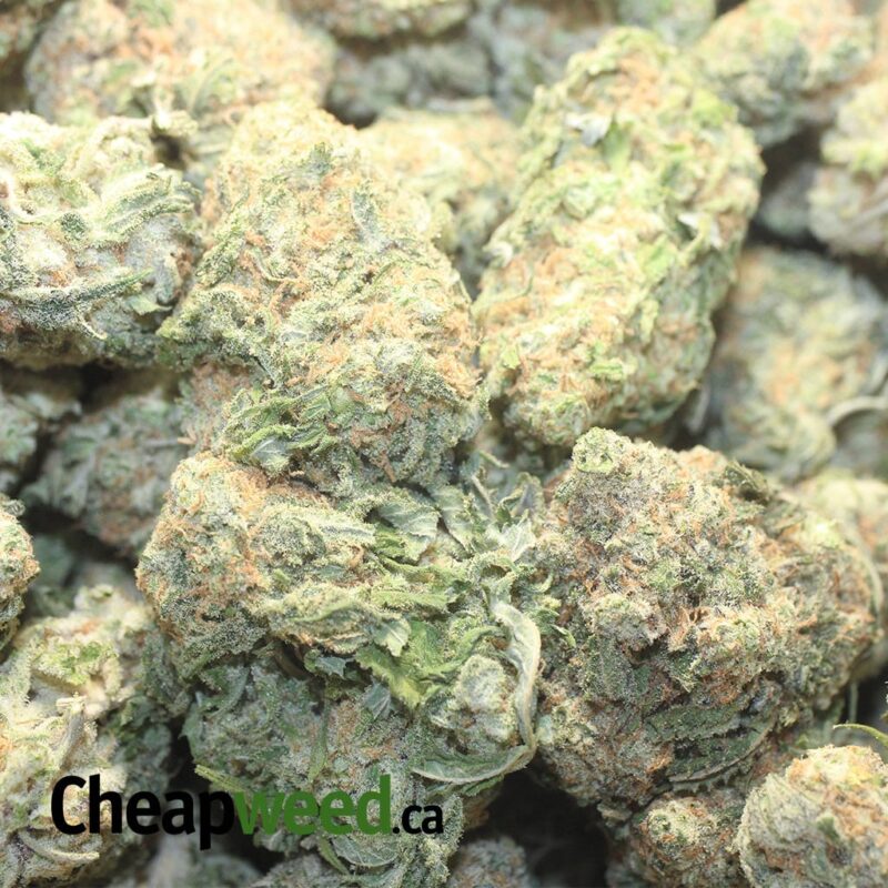 $69 Oz – Sweet Dream - Image 3