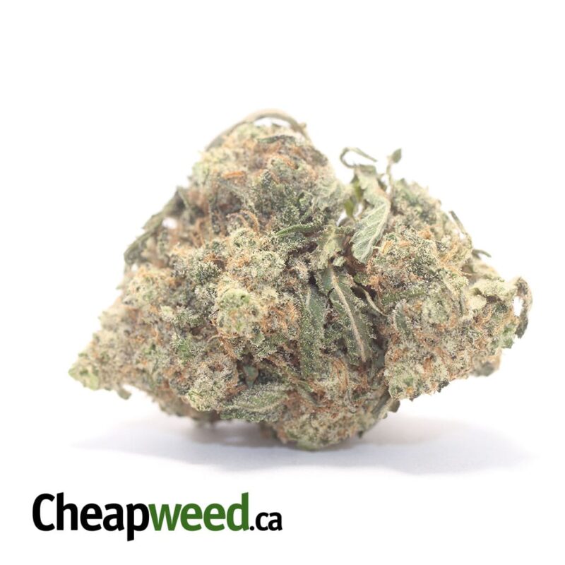$69 Oz – Sweet Dream