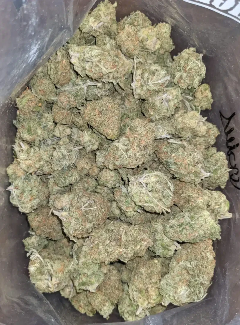 Scout Master Kush - Image 4