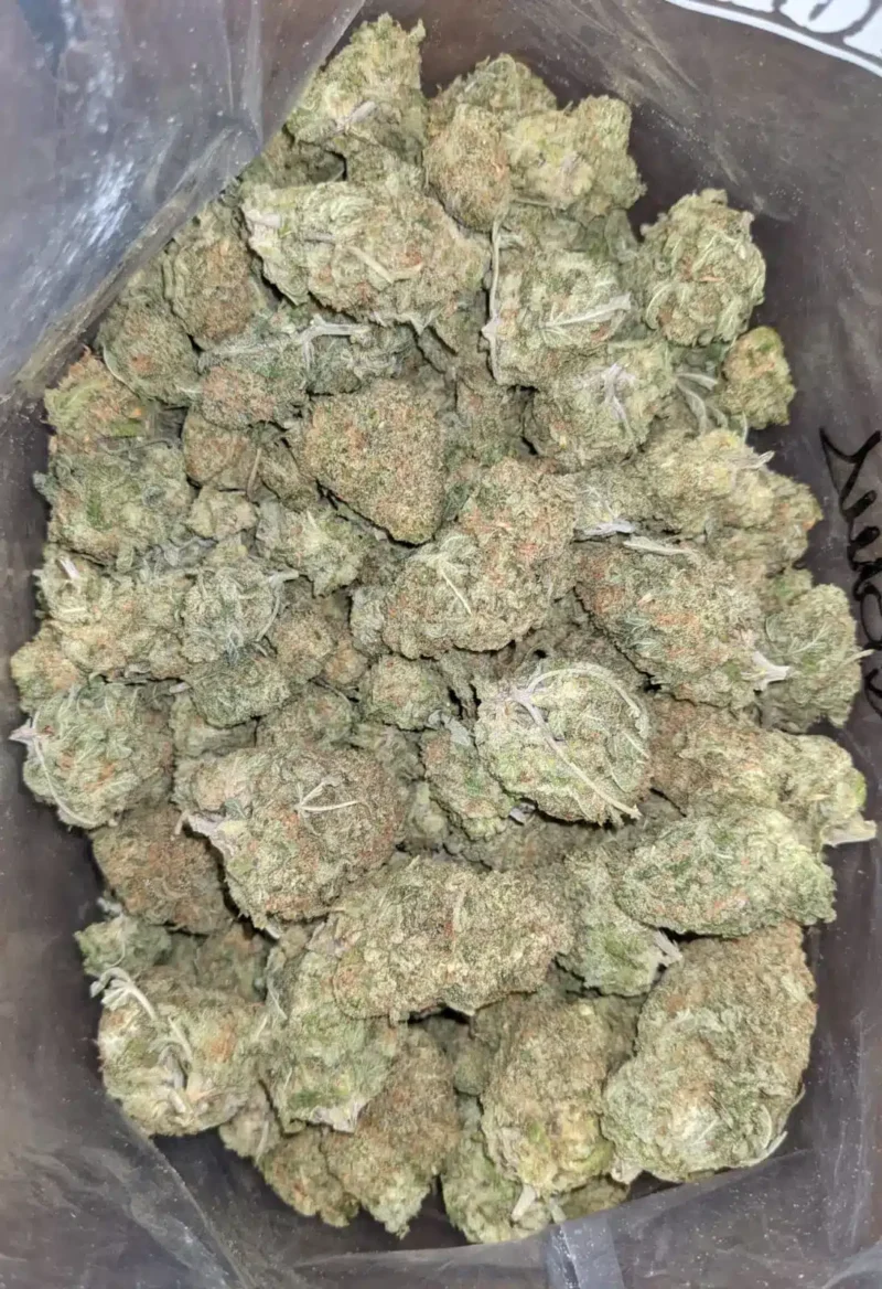 Scout Master Kush - Image 5