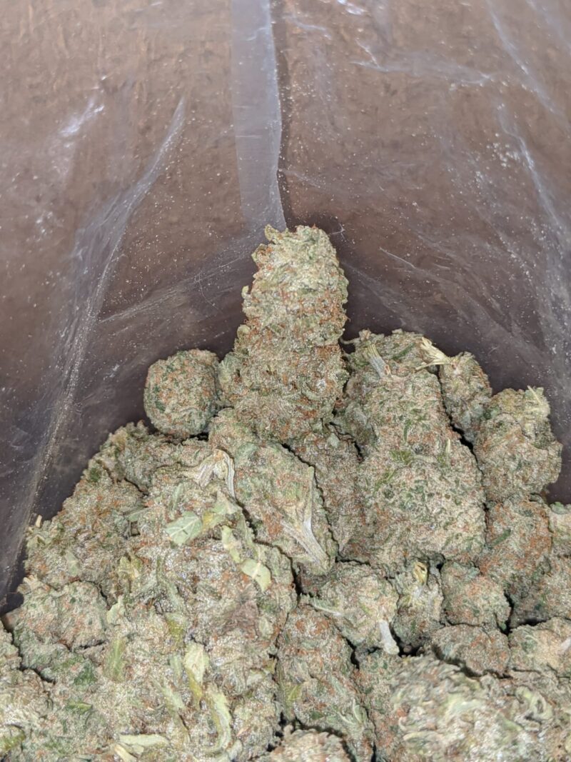 $ 48 Oz – Sherbert - Image 4