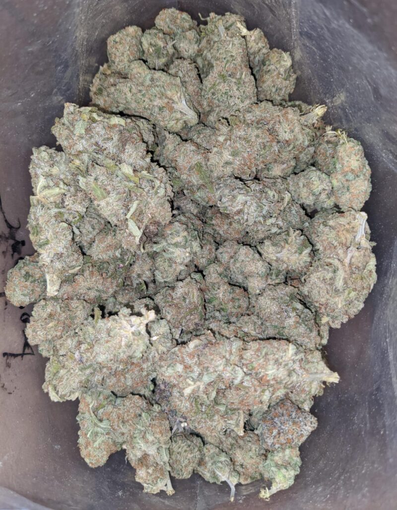 $ 48 Oz – Sherbert - Image 6
