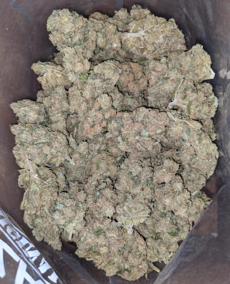 Sherbet - Image 5