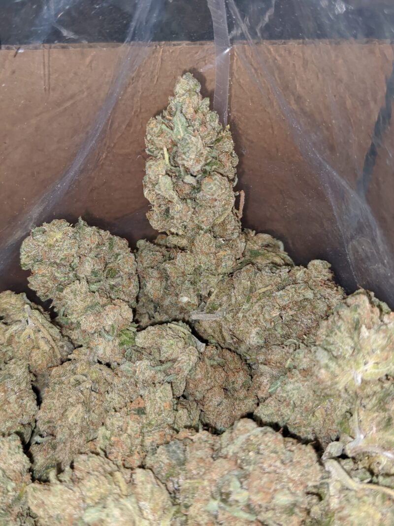 Sherbet - Image 7