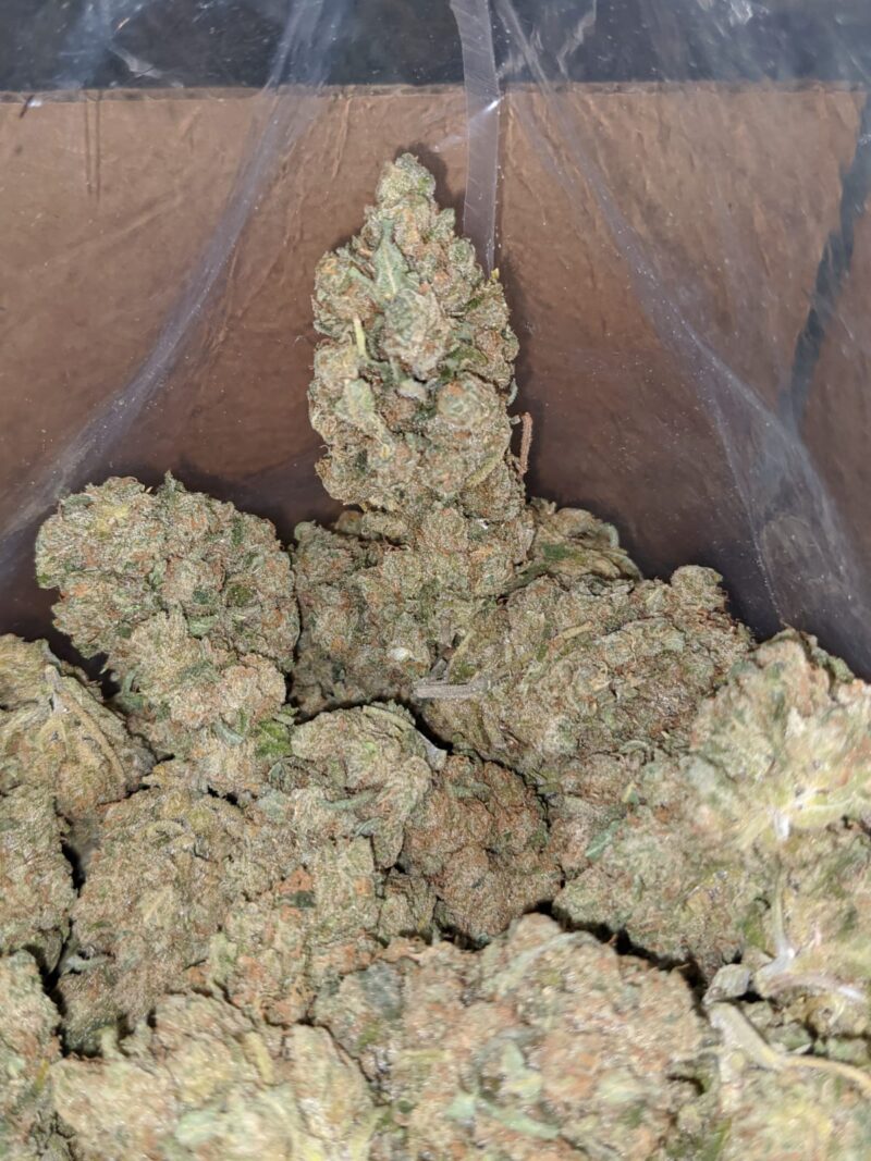 Sherbet - Image 6