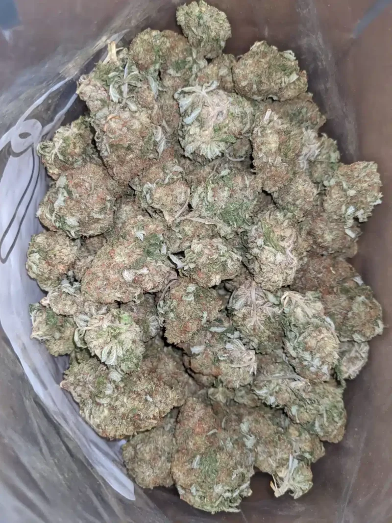 Silver Haze - Image 5