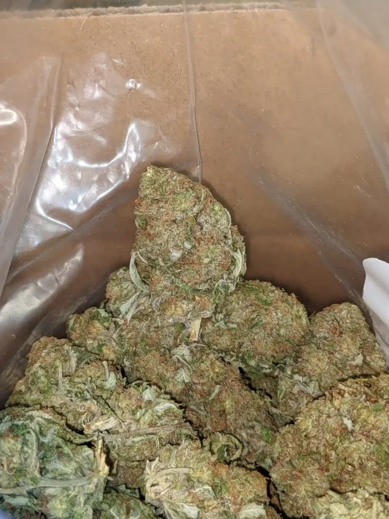 Lucky Charms - Image 8