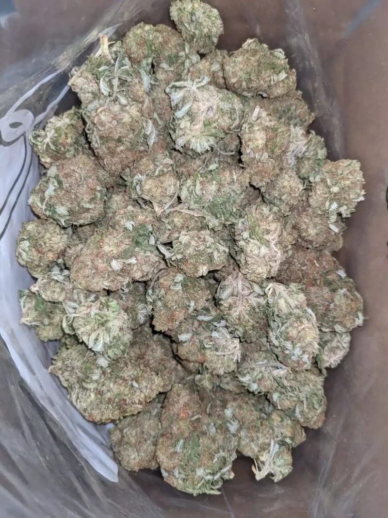 Silver Haze - Image 4