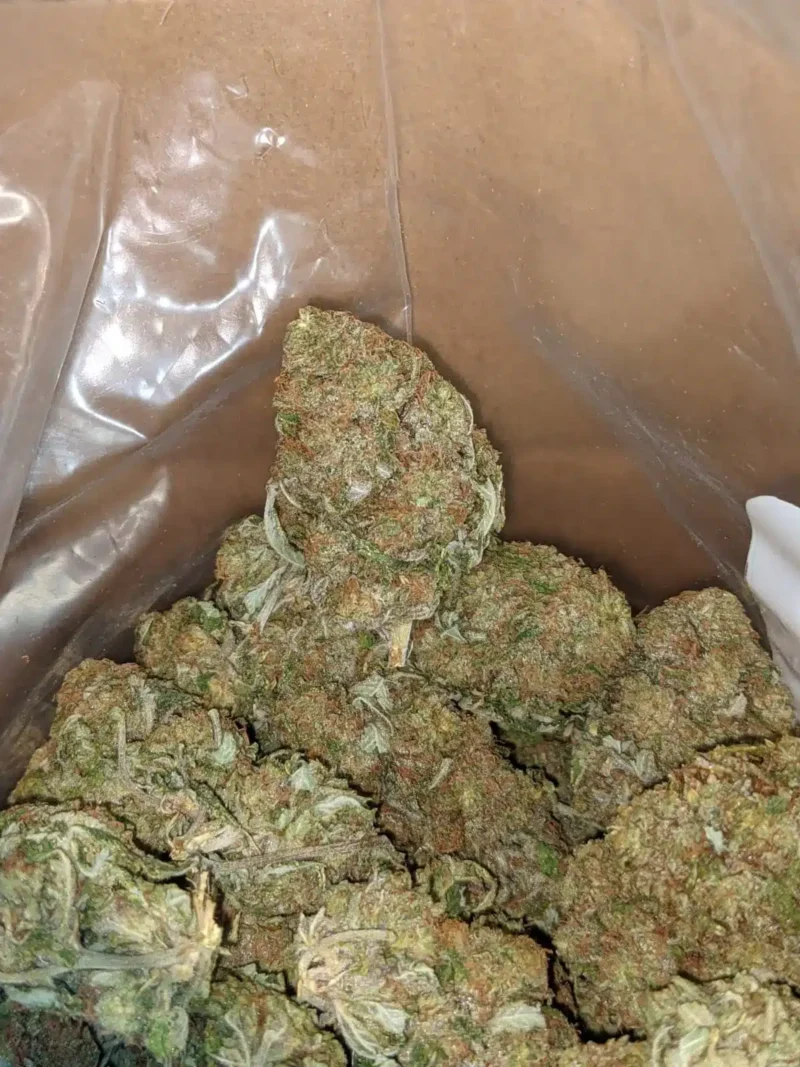 Silver Haze - Image 7