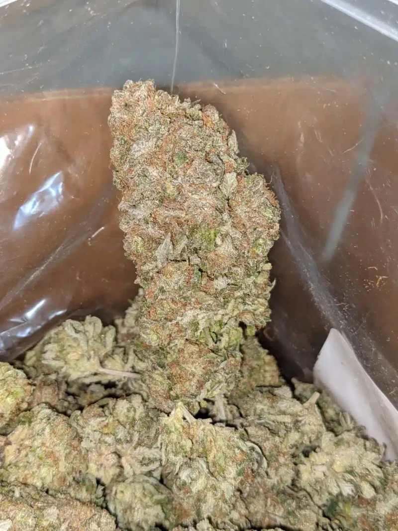 Silver Kush - Image 7