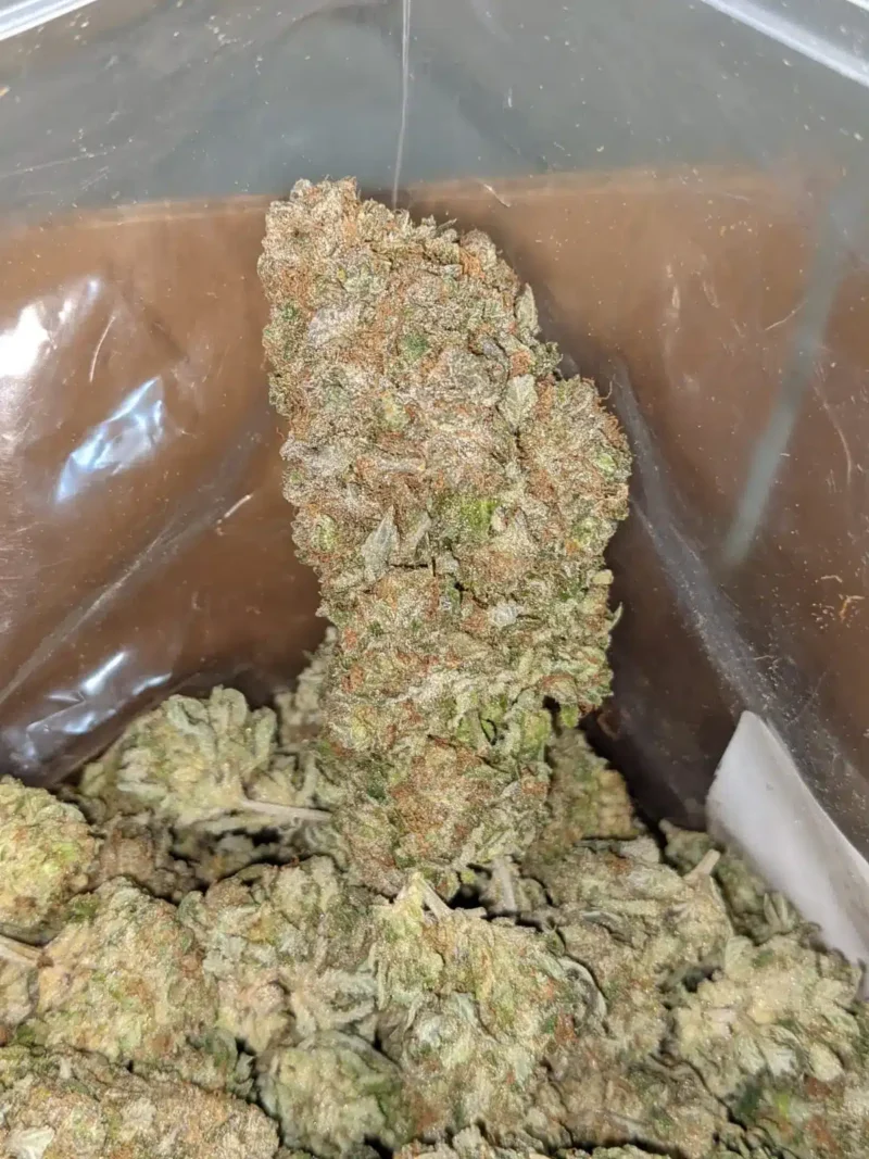 Silver Kush - Image 6