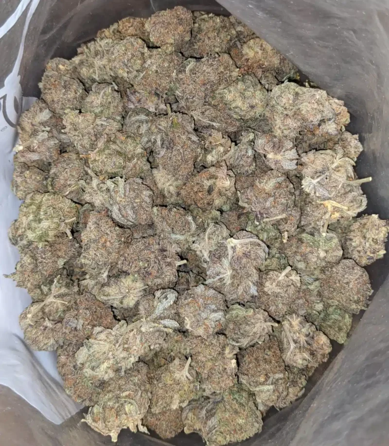 Stinky Bubba - Image 4