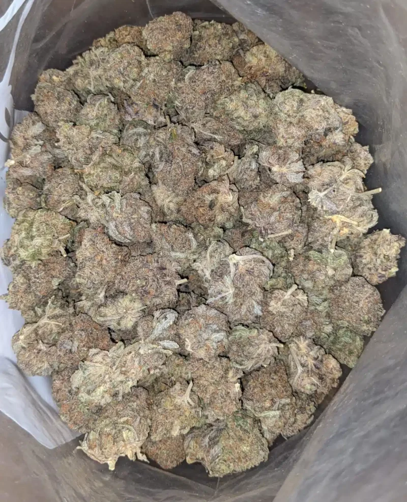 Stinky Bubba - Image 7