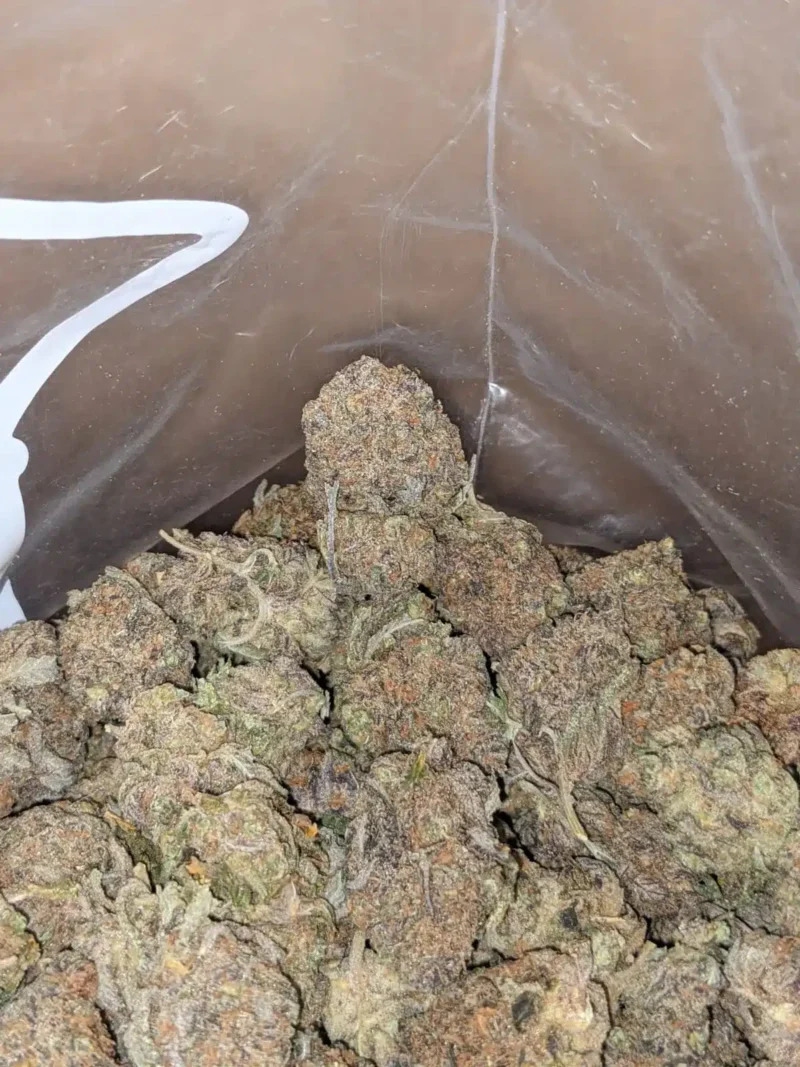 Stinky Bubba - Image 6