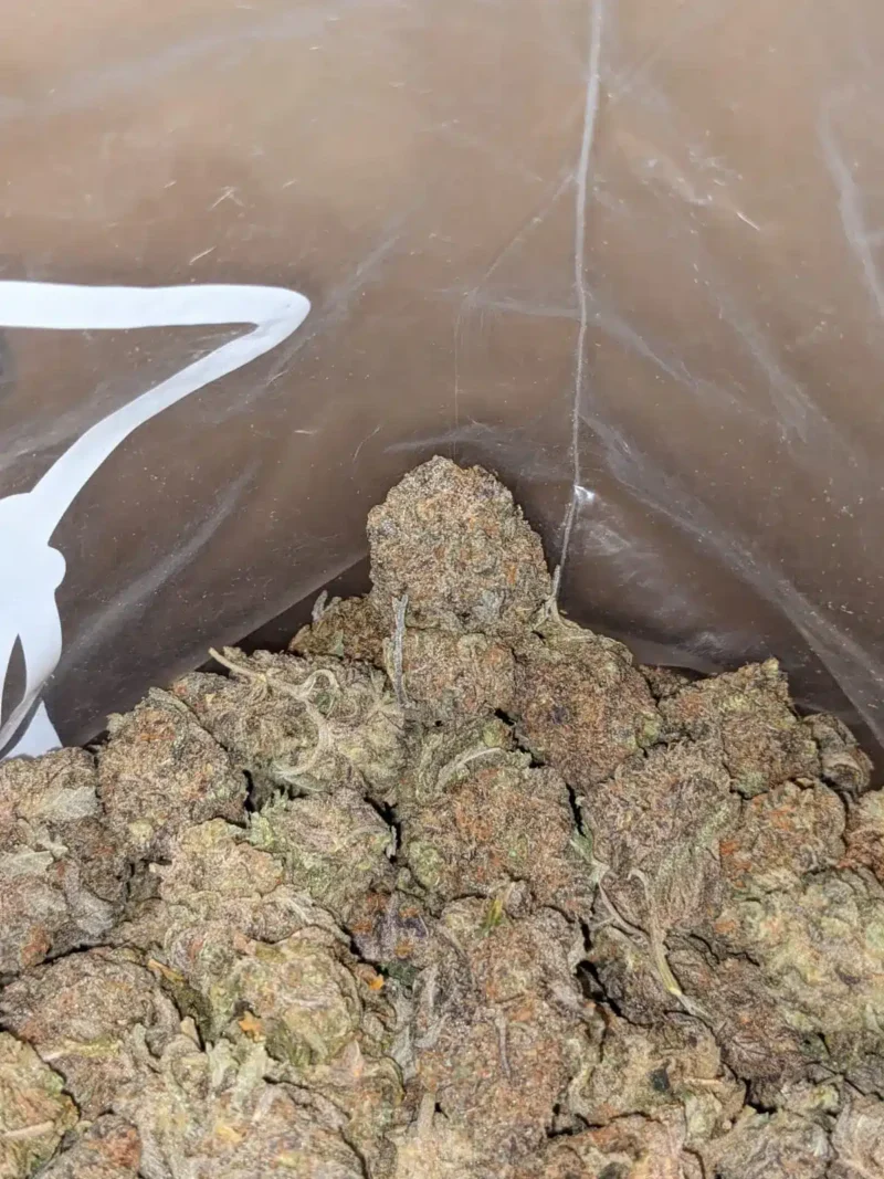 Stinky Bubba - Image 5