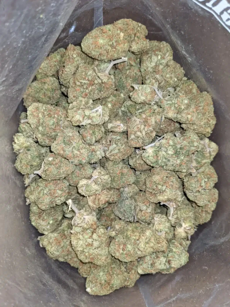 Skunk OG - Image 7