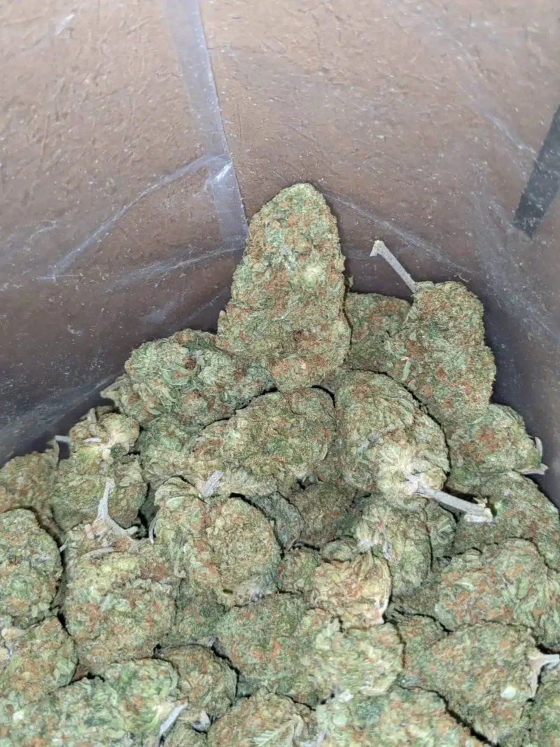 Skunk OG - Image 5