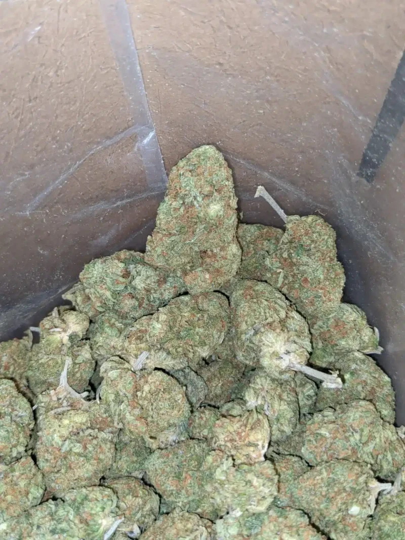 Skunk OG - Image 6