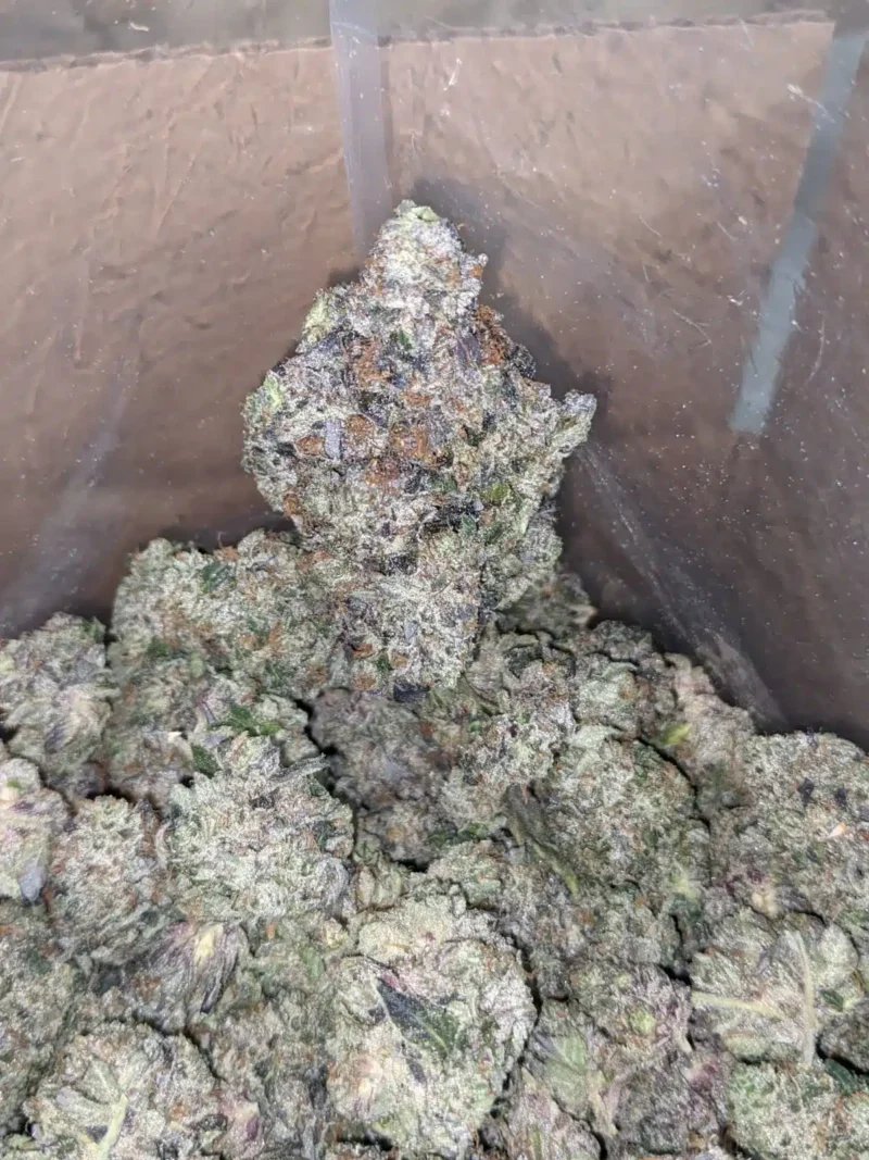 Skywalker OG AAAA