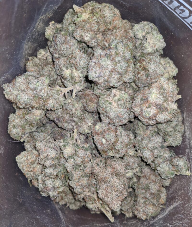 Skywalker - Image 6