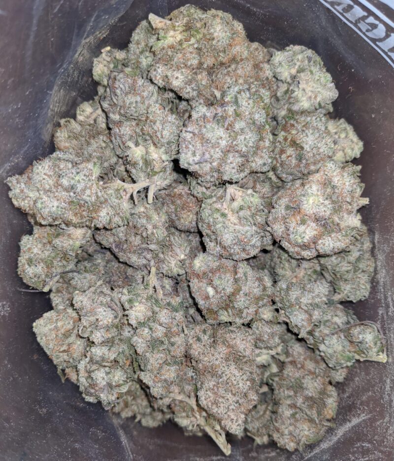 Skywalker - Image 7