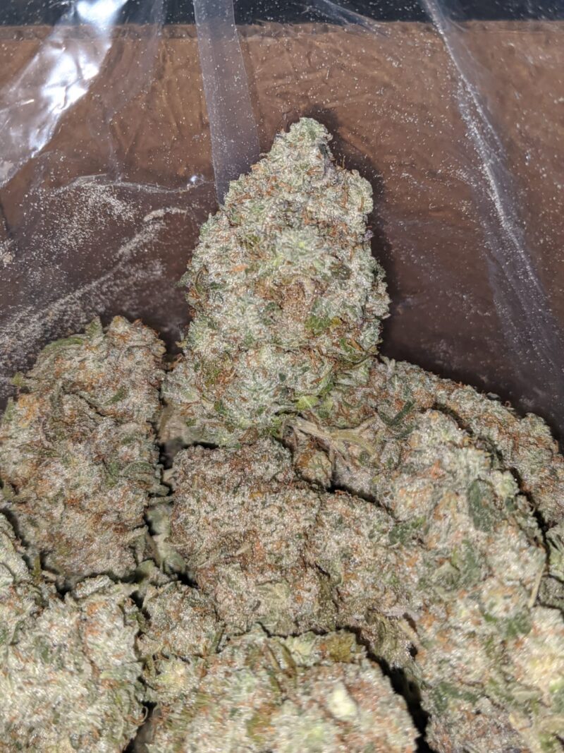 Skywalker - Image 4