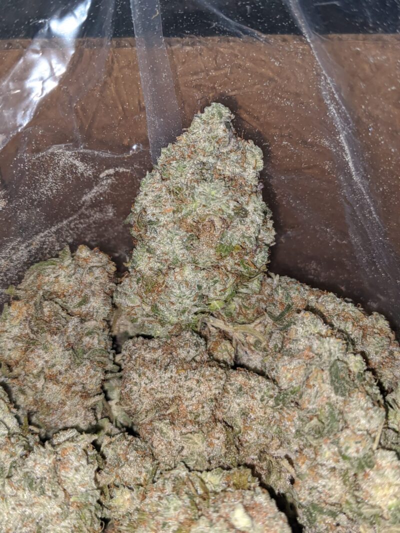 Skywalker - Image 5