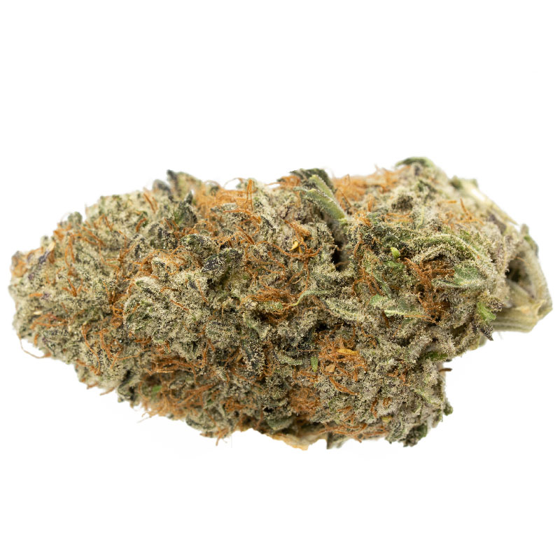 Sour Jack