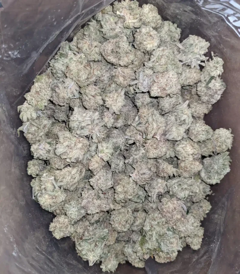 Space Cookies - Image 4