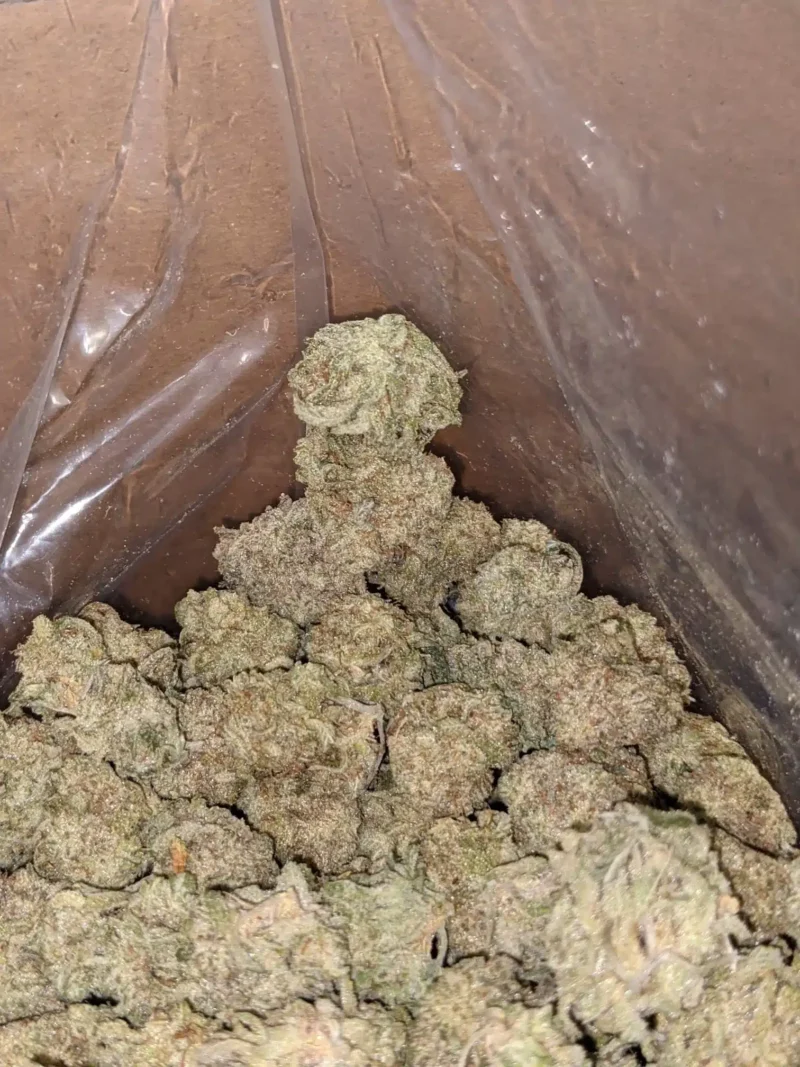 Space Cookies - Image 7