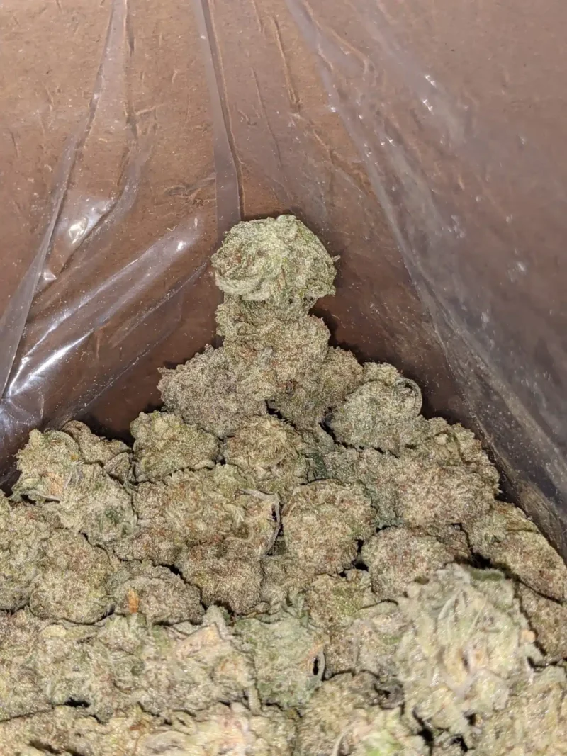Space Cookies - Image 6