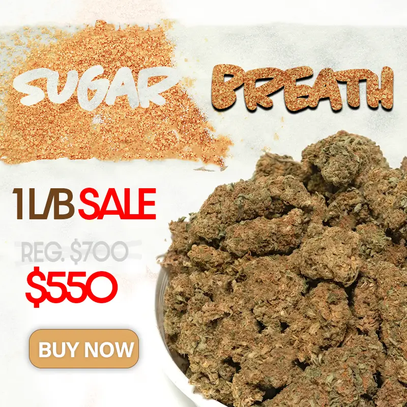 Sugar Breath