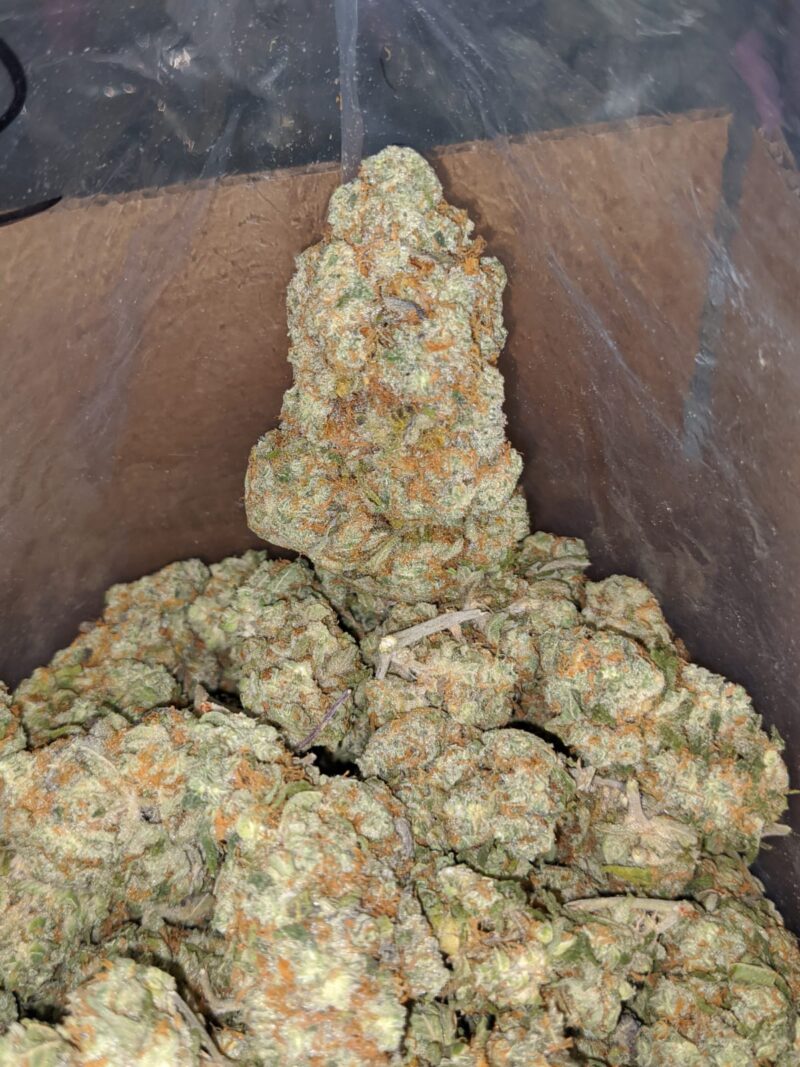 Sundae Driver - Image 5