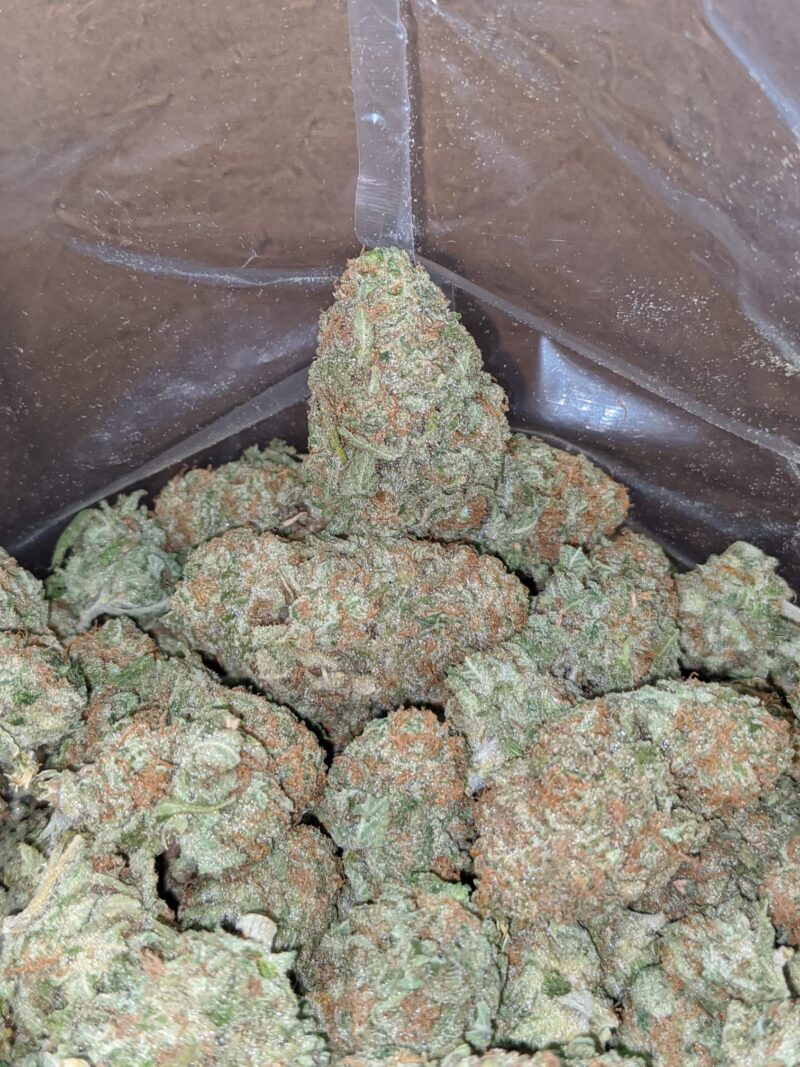 Sunset Sherbert - Image 4