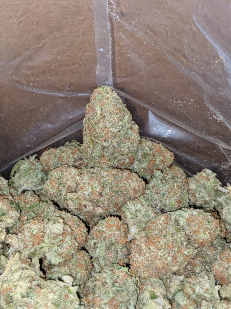 Sunset Sherbert - Image 7