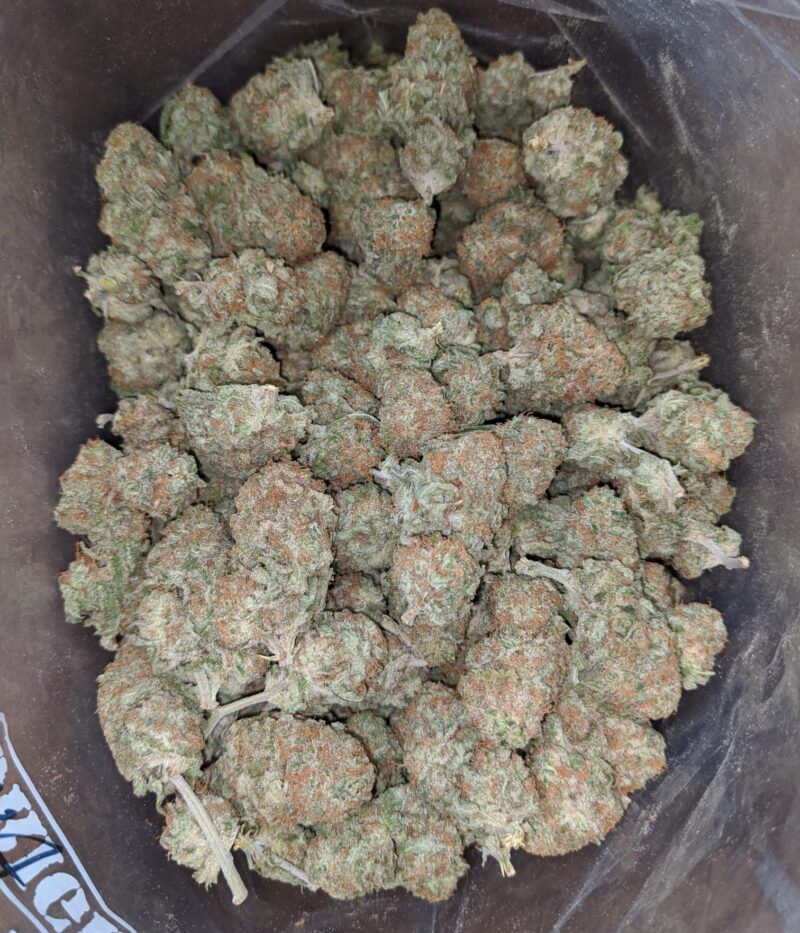 Sunset Sherbert - Image 6