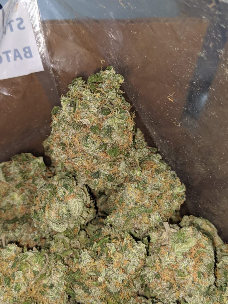 $ 46 Oz – Super Pink - Image 7