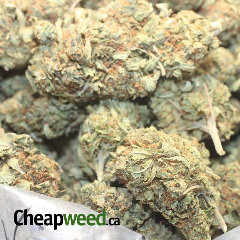 Tony’s Lindsay OG – *Deal Of The Day* - Image 3