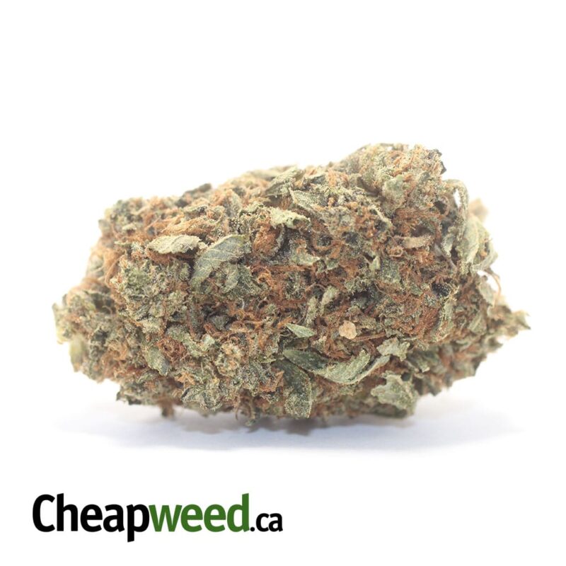 Tony’s Lindsay OG – *Deal Of The Day*