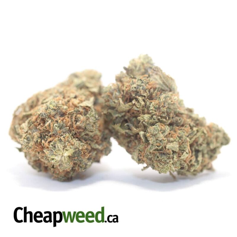 Tony’s Lindsay OG – *Deal Of The Day* - Image 2