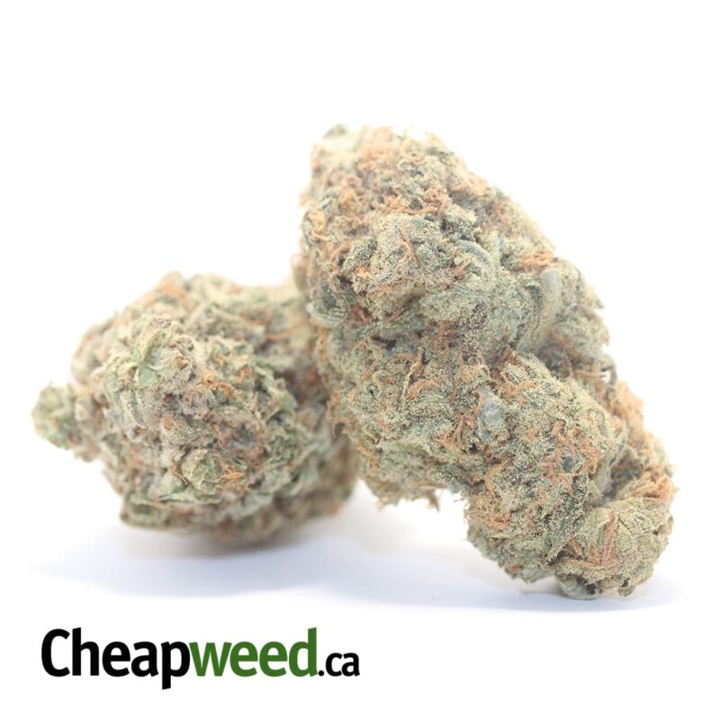 Thin Mint Girl Scout Cookies - Image 2