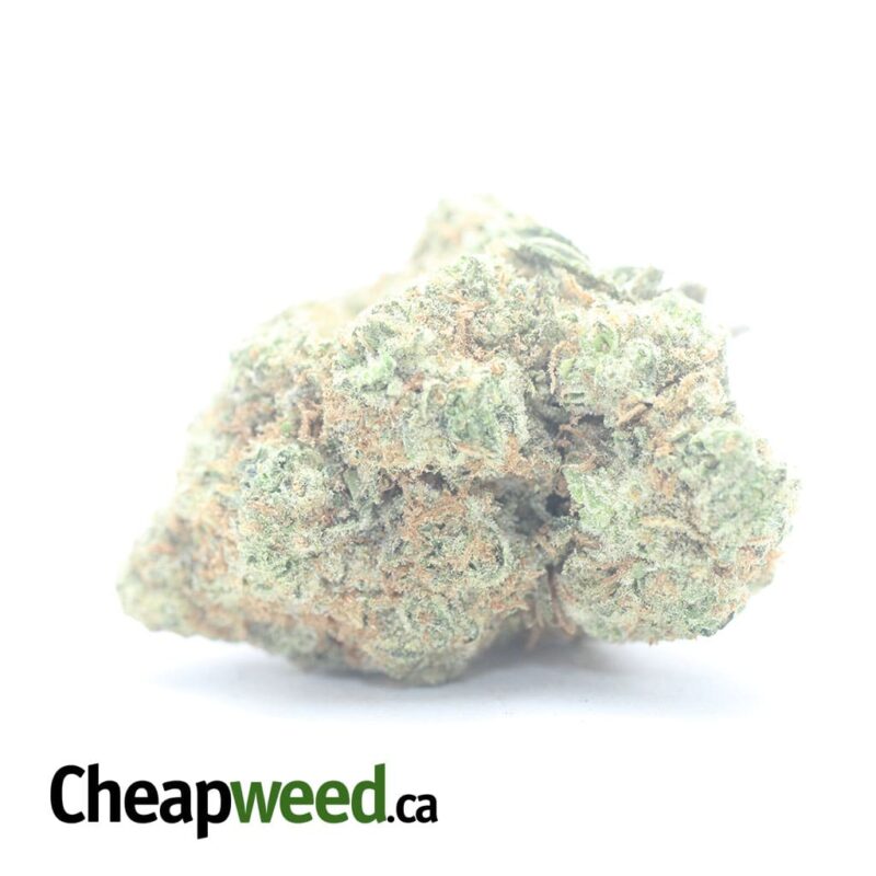 Tangerine Dream