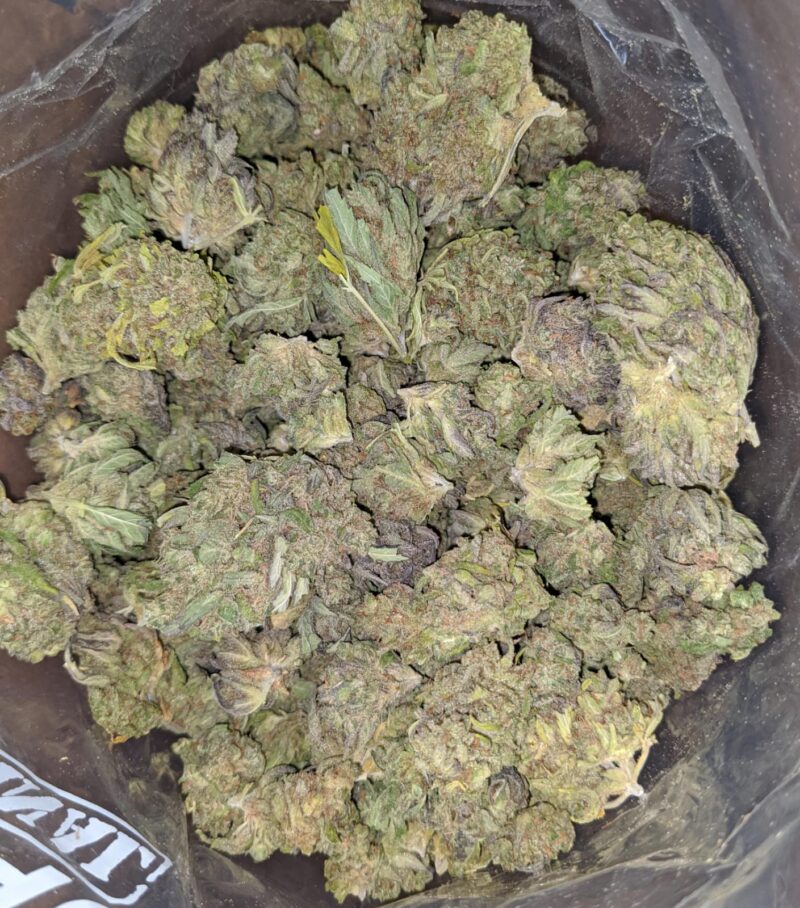 Thai Haze Bulk Special - Image 7