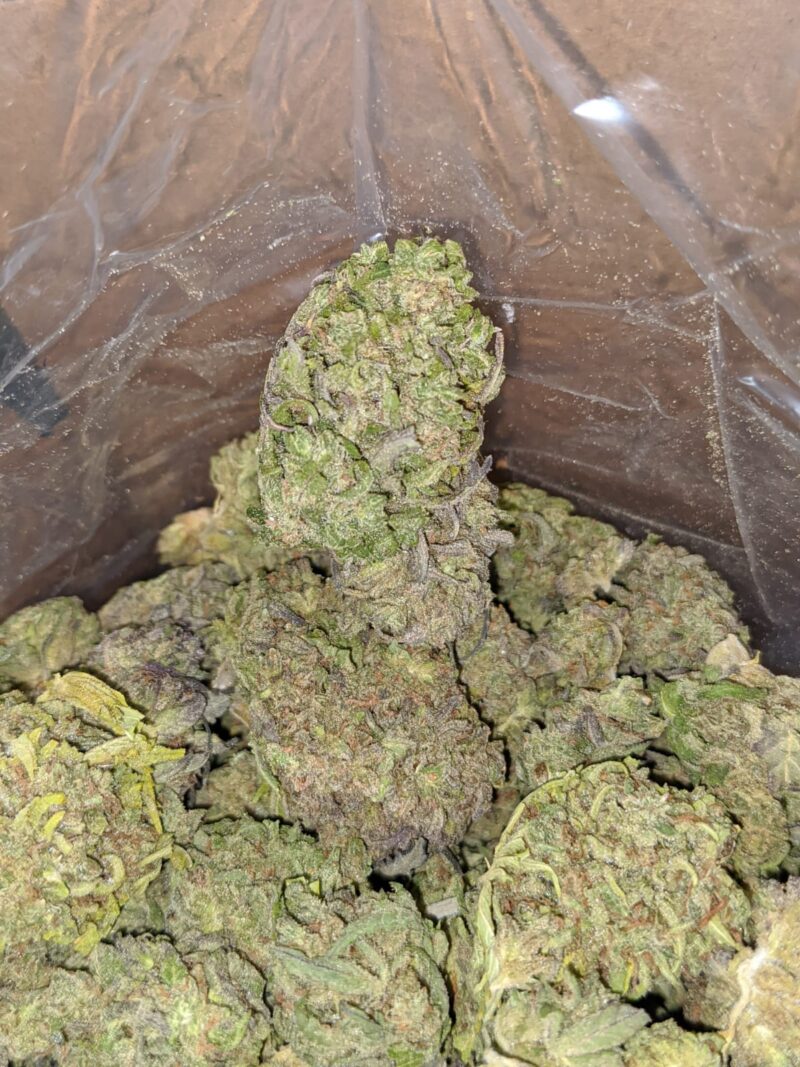 Thai Haze Bulk Special - Image 6