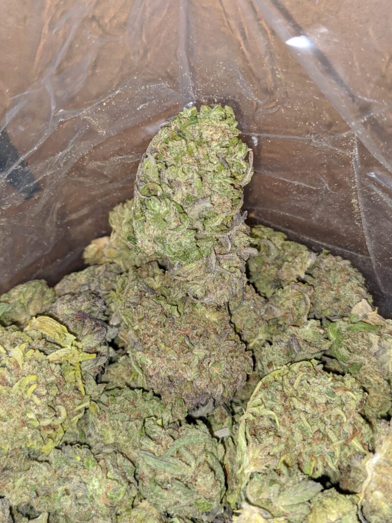 Thai Haze Bulk Special - Image 5