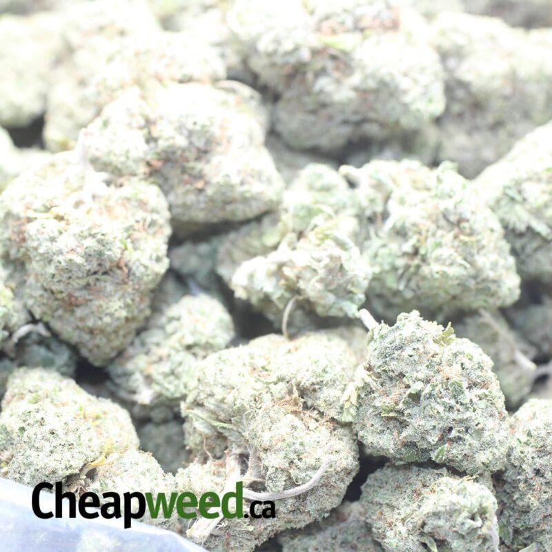 Thin Mints - Image 3