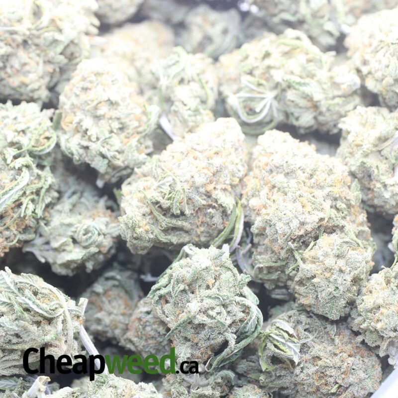 $ 47 Oz – Thunderfuck - Image 3