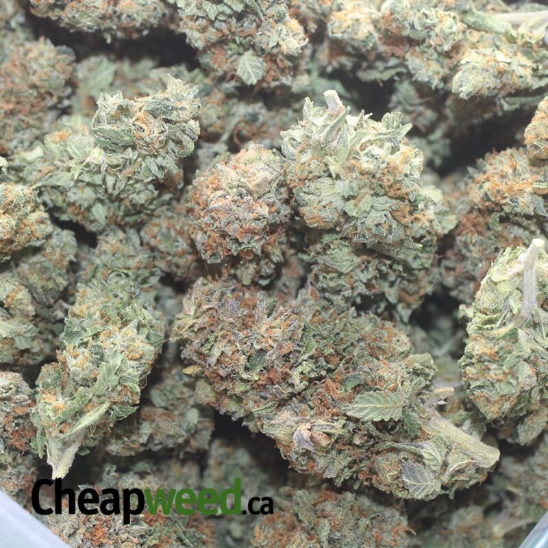 Tony’s Bubba Kush - Image 3